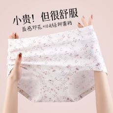 批发女士内裤 M-XL