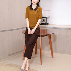 批发2026新款百搭<b class='q'>时尚</b>翻领短袖针织衫+休闲裤两件套春夏