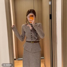 批发已出货<b class='q'>职业</b>气质套装裙女时尚修身设计感V领开叉上衣半裙两件套