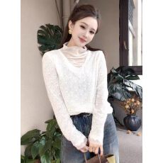 批发今年流行的爆款女装秋冬2026新款网纱拼接半高领长袖<b class='q'>蕾丝</b>衫上衣服
