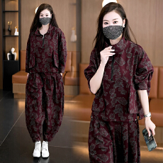 批发新款印花减龄洋气时尚显瘦<b class='q'>套装</b>2025宽松休闲上衣<b class='q'>哈伦裤</b>两件套