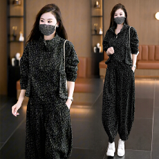 批发新款印花减龄洋气时尚显瘦<b class='q'>套装</b>2025宽松休闲上衣<b class='q'>哈伦裤</b>两件套