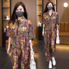 批发2026夏季新款大码油画印花套装女胖mm遮肉显瘦冰丝哈伦裤两件套