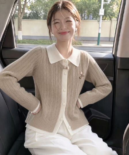 폴로 칼라 페이크 레이어드 부드러운 찹쌀 스웨터 여자 2026 가을 겨울 새로운 디자인 센스 꽈배기 니트 스웨터 쇼트 스타일 스택 착용 맨위