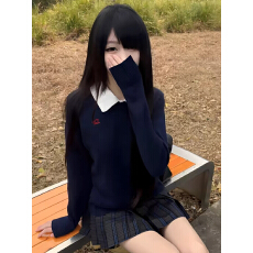 批发<b class='q'>日系</b>jk制服黑色刺绣套头毛衣女秋冬校供感V领针织衫长袖内搭上衣