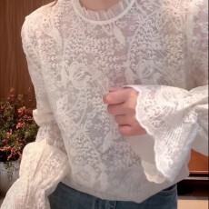 批发韩系超仙刺绣<b class='q'>蕾丝</b>立领设计套头<b class='q'>衬衫</b>女秋冬气质白色时尚钩花新上衣