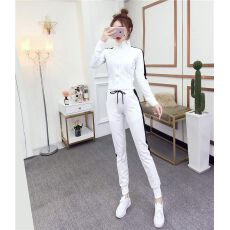 批发网红休闲套装女秋冬洋气性感小脚裤显瘦拉链<b class='q'>运动服</b><b class='q'>气质</b>两件套