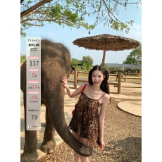 批发Pinksoya粉豆子 辣妹豹纹蝴蝶结<b class='q'>吊带</b><b class='q'>背心</b>女夏季新款<b class='q'>雪纺</b>抹胸上衣