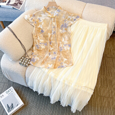 批发新中式改良旗袍上衣女夏 蝴蝶印花立领盘扣收腰显瘦小飞袖套装