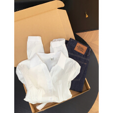 批发实拍 控价20 法式v领衬衫女新款职业<b class='q'>通勤</b>衬衣气质轻熟收腰上衣