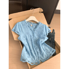 批发实拍 控价20  法式温柔风蓝色V领钩花镂空刺绣衬衫女夏季短袖上衣
