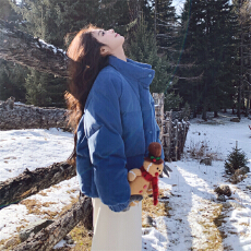 批发网图蓝色棉服女冬季2026新款今年流行设计感小众面包服小个子爆款
