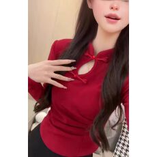 批发半高领新中式国风盘扣T恤打底衫女<b class='q'>春</b>季2024新款修身内搭长袖上衣