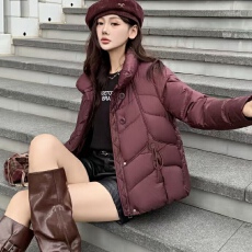 批发有货商超同版 冬季新款时尚立领休闲韩版白鸭绒羽绒服外套女装