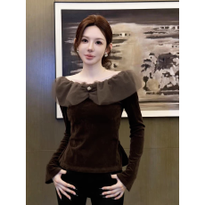 批发咖色<b class='q'>网纱</b>拼接丝绒上衣女冬欧货高级感独特别致巨好看气质掐腰衬衫