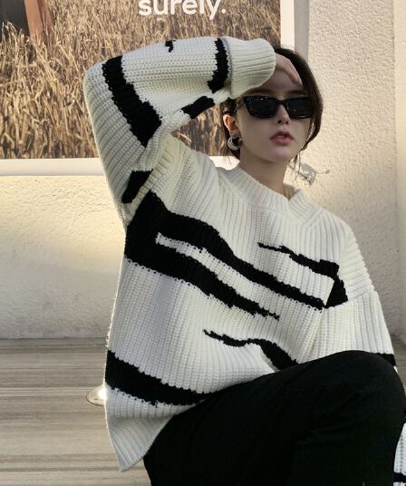 가을 겨울 새로운 항구 바람 얼룩말 곡물 스웨터 여자 2026 라운드 넥 느긋한 바람 루즈핏 슬림해 보이는 니트 스웨터 맨위 재킷