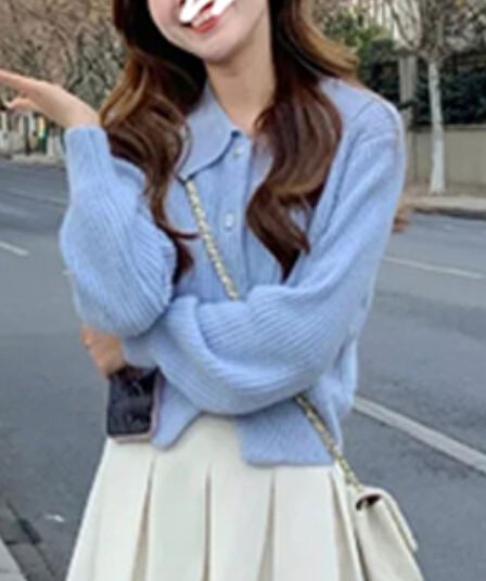 프랑스식 파란색 폴로 칼라 니트 오픈 가디건 여성 몸매 가꾸기 쇼트 스타일 2026 작은 샤넬 스타일 너구리 플러시 부드러운 찹쌀 스웨터 코트