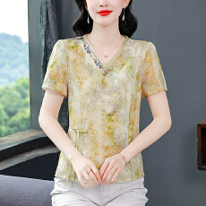 批发夏装新款精致漂亮碎花<b class='q'>雪纺衫</b>国风<b class='q'>短袖</b>上衣新中式女装百搭小衫