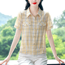批发夏季新款翻领格子<b class='q'>衬衫</b>设计感短袖精致气质遮肉百搭上衣女士<b class='q'>雪纺</b><b class='q'>衫</b>