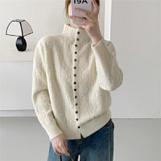 批发半高领长毛<b class='q'>欧根纱</b>套头针织衫[1881]