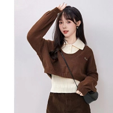 批发两件套学院风<b class='q'>毛衣</b>女春秋<b class='q'>新款</b>设计感别致减龄韩系针织衫上衣