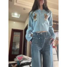 批发小狗提花短款针织开<b class='q'>衫</b>女2025秋冬新款慵懒风收腰显瘦毛衣外套