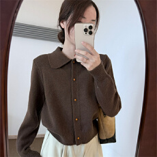 批发话里简约风娃娃领浣熊<b class='q'>开衫</b>2025秋季新款韩版翻领显瘦上衣<b class='q'>针织衫</b><b class='q'>女</b>