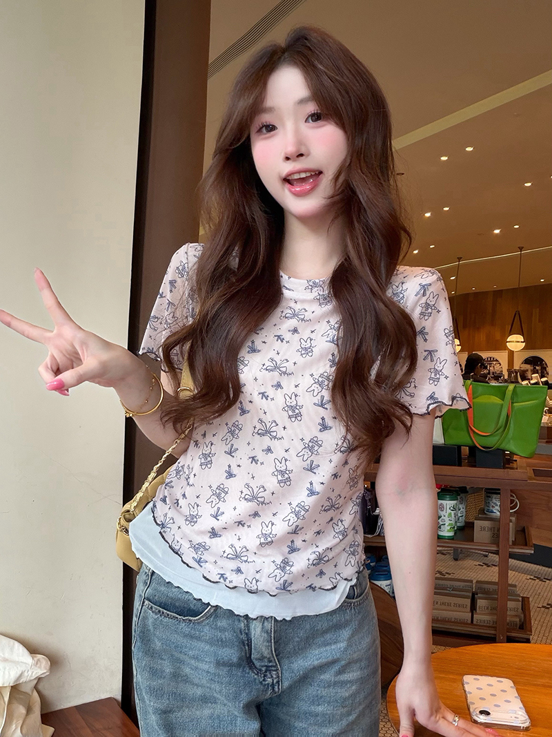 실사 정가 슈퍼 잘 생긴 망사 얇은 스타일 반팔 티셔츠 여성 여름 재미있는 프린트 작은 대중 핫걸 맨위