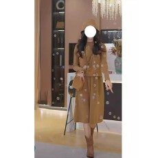 批发韩版气质马甲连衣裙两件套女装秋冬新款时髦高级感美拉德漂亮套装
