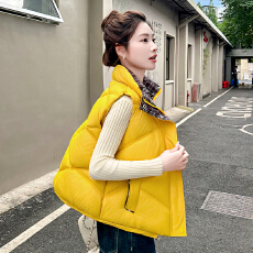 批发羽绒棉服马甲女外穿2026<b class='q'>冬</b>季超轻背心内胆百搭外套