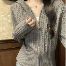 批发安迪绒麻花连帽加厚拉链毛衣开衫外套女早<b class='q'>春</b>高级感软糯针织衫上衣