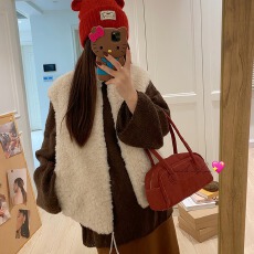 批发韩系百搭<b class='q'>马甲</b>立领拉链款仿羊羔毛皮毛一体2025仿皮草女毛毛外套