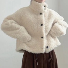 批发慵懒学院风立领单排扣羊羔毛<b class='q'>外套</b>女冬季新款百搭仿皮毛一体棉衣