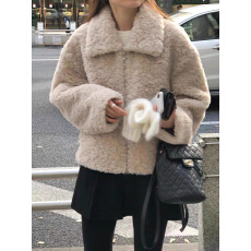 批发韩系ins风仿皮毛一体加厚保暖拉链外套女2026<b class='q'>秋</b>冬季新款