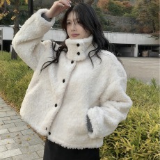 批发韩系立领学院风短款羊羔毛保暖外套女冬日新款单排扣宽松百搭大衣
