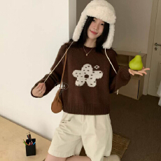 批发温柔风圆领插肩袖短款提花<b class='q'>花朵</b>毛针织衫 显瘦气质