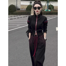 批发春秋款设计感简约卫衣套装女2025年春秋洋气上衣<b class='q'>气质</b><b class='q'>运动服</b>两件套