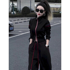 批发春秋款设计感简约卫衣套装女2025年春秋洋气上衣<b class='q'>气质</b><b class='q'>运动服</b>两件套