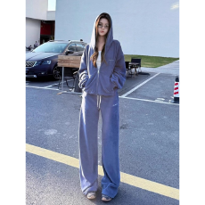 批发欧货休闲运动套装女<b class='q'>秋</b>冬2025新款韩版宽松开衫连帽卫衣两件套显瘦