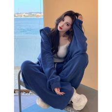 批发高级感<b class='q'>秋</b>冬加厚卫衣套装女休闲显瘦摇粒绒连帽运动服两件套潮