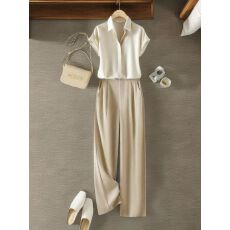 批发2026新款冷淡系高级感干练气质时尚<b class='q'>职业</b>衬衫裤子两件<b class='q'>套装</b>女装夏季