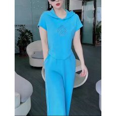 批发洋气炸街休闲运动<b class='q'>套装</b><b class='q'>女</b>2026夏修身显瘦蓝色短袖上衣阔腿裤<b class='q'>两件</b>套