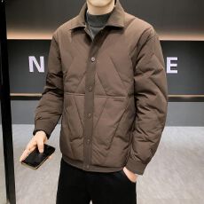 批发实拍冬季新款翻领羽绒服<b class='q'>外套</b><b class='q'>男</b>新国标简约轻薄百搭潮流保暖羽绒服