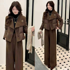 批发官图加棉上衣+<b class='q'>裤</b>子2025冬季新款显瘦时尚百搭<b class='q'>套装</b>