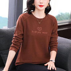 批发圆领打底衫女长袖t恤2025秋季新款修身内搭时尚洋气<b class='q'>百搭</b>上衣潮