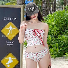 批发泳衣女新款甜辣少女草莓印花抹胸比基尼显瘦度假风两件套小胸温泉