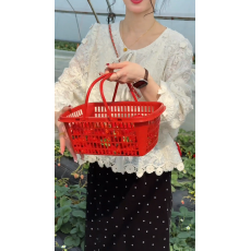 批发有货老赵服饰 重工蕾丝勾花绑带衬衫上衣+黑色<b class='q'>丝绒</b>波点半身裙<b class='q'>套装</b>