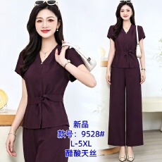 批发<b class='q'>时尚</b>套装女夏季2026新款今年流行爆款时髦洋气妈妈高级感两件套裤