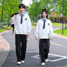 批发实拍<b class='q'>秋</b>装学生班服运动服潮牌团购服卫衣两件套中小大校服已出货