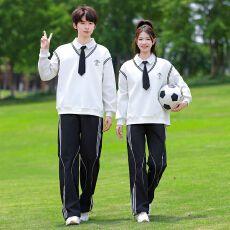 批发实拍<b class='q'>秋</b>装学生班服运动服潮牌团购服卫衣两件套中小大校服已出货